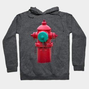 Red Traverse City Iron Works Smooth Hydrant Hoodie